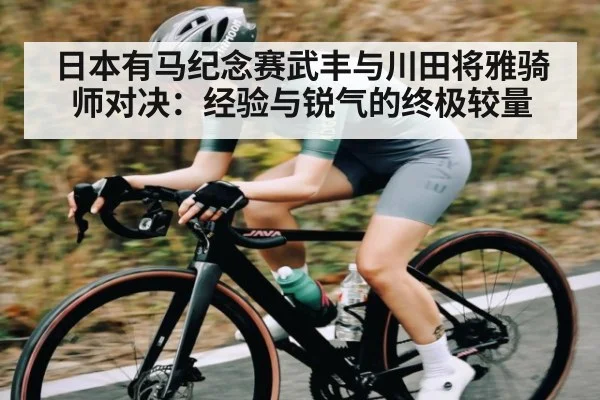 日本有马纪念赛武丰与川田将雅骑师对决：经验与锐气的终极较量